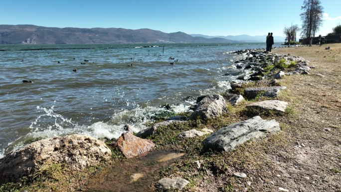 大理 洱海 湖泊 环保 绿色 湖水 蓝天