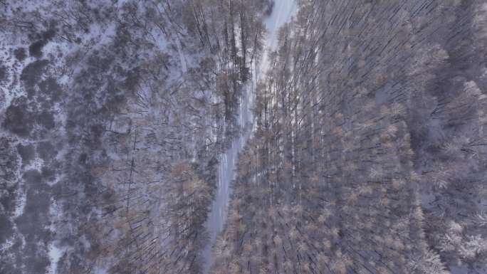 山间雪路爬坡原始森林四驱激情驾驶航拍