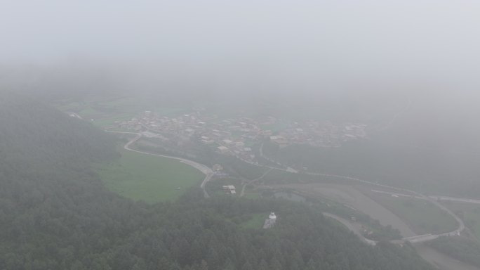 川西高原森林日出云海翻腾