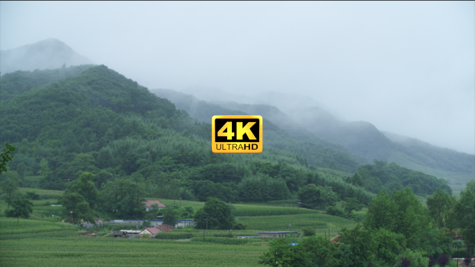 夏季雨后云雾满山