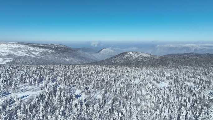 雪景