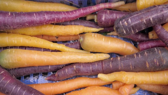 五颜六色的冬季胡萝卜被放在市场摊位上的一个容器里