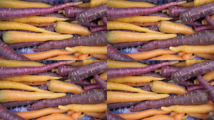 五颜六色的冬季胡萝卜被放在市场摊位上的一个容器里