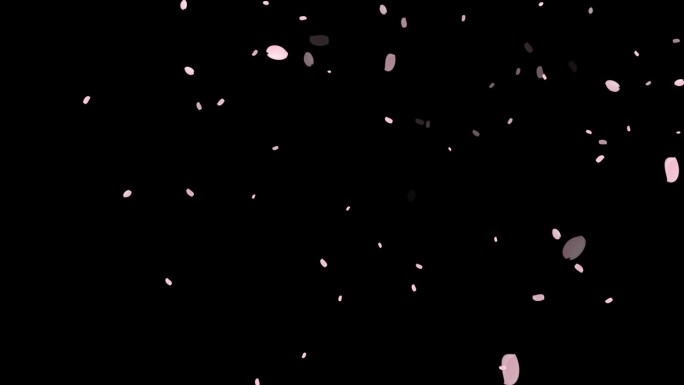 樱花花瓣跳舞的视频