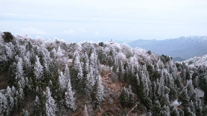 湖南南岳衡山松树凇雪景祝融峰