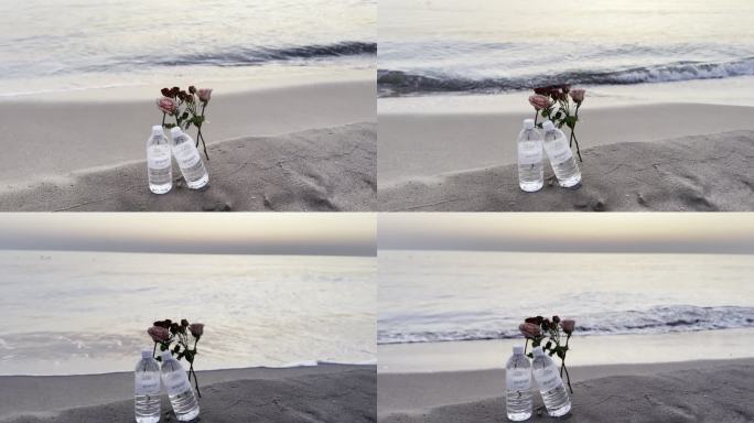 阿那亚海边玫瑰花