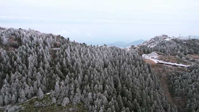 湖南南岳衡山松树凇雪景祝融峰