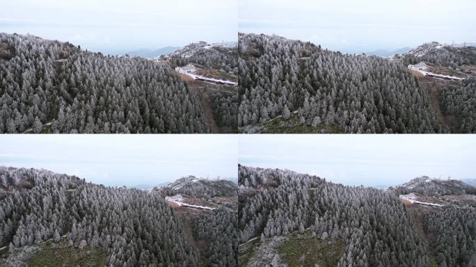 湖南南岳衡山松树凇雪景祝融峰