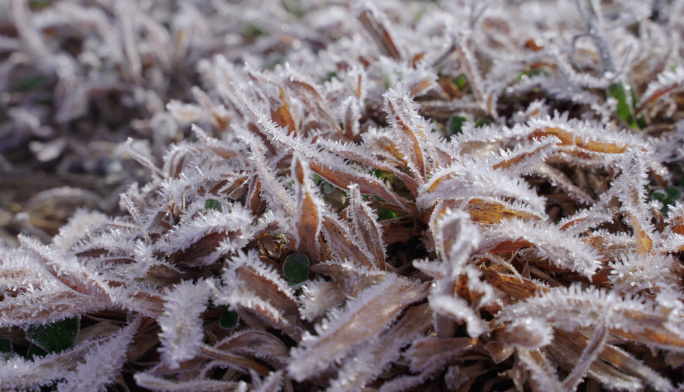 延时冰雪融化气温回升气候季节变化大地回春