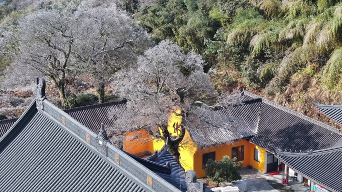 江南高山古寺庙冬天屋檐残雪冰凌航拍原素材