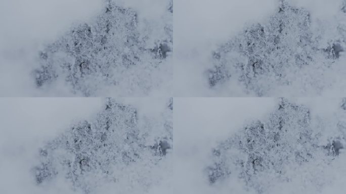 微距镜头:融化的雪花
