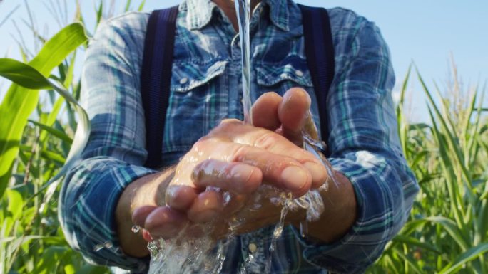 农田工人洗手特写。农民在玉米地种植园工作后用水。把清水倒在胳膊上。检查玉米植株时清洁手指。农村的生活