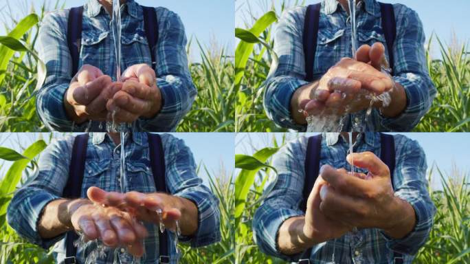 农田工人洗手特写。农民在玉米地种植园工作后用水。把清水倒在胳膊上。检查玉米植株时清洁手指。农村的生活