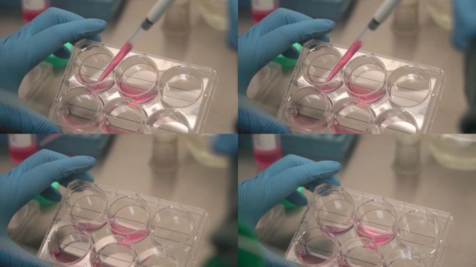 大学生做实验实验室超净间实验仪器医学实验