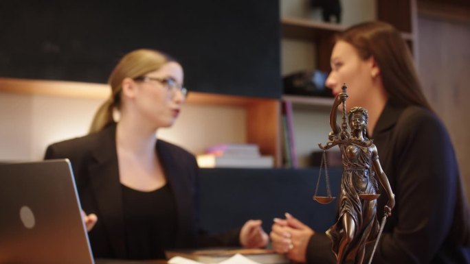 一位女律师在她的工作场所与一位年轻的客户交流，讨论法律意义上的问题。法律和财务问题的咨询理念