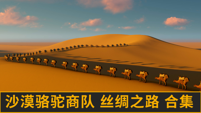 沙漠骆驼 一带一路 丝绸之路合集