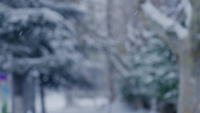 下雪 清冷无人的道路