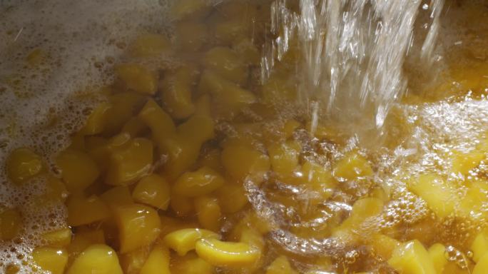 干果罐头加工生产桃杏加工