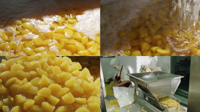 干果罐头加工生产桃杏加工
