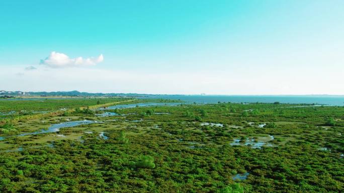 红树湾海景航拍延时