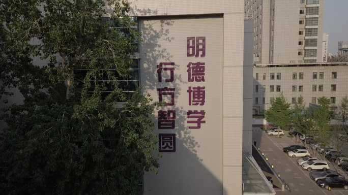 春天 绿树 花开 学校建筑