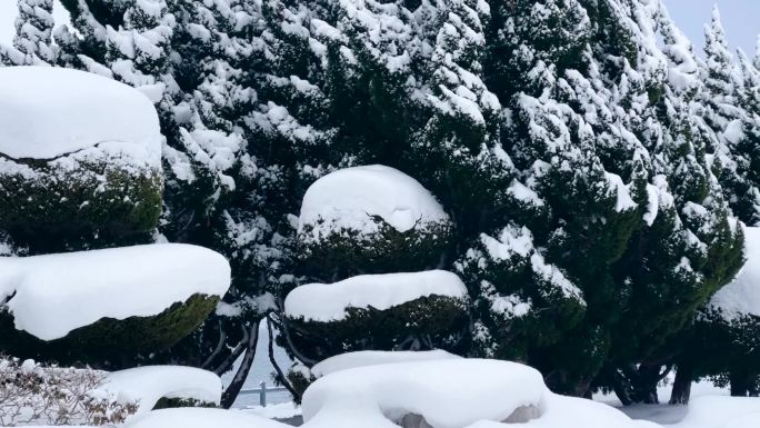 浪漫的雪景 唯美的雪花 雪花飞舞  04
