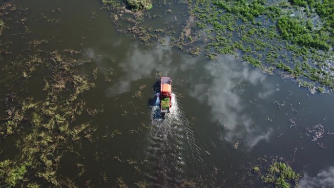 一艘非常大的钢船上的大型挖掘机和一辆拖拉机正在运河里铲蔬菜和杂草。