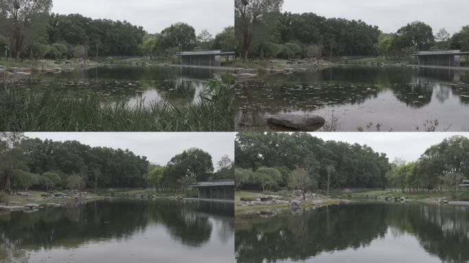 深圳公园 小湖