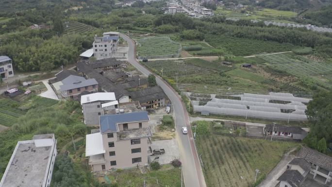 福建省龙岩市漳平水仙生态茶园航拍