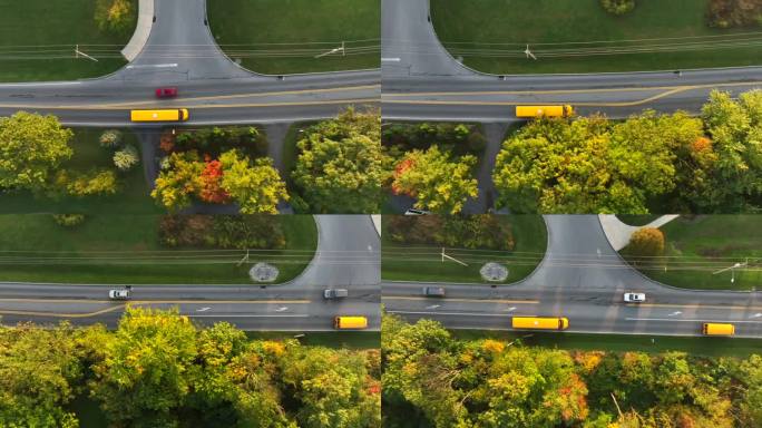 黄色校车行驶在美国郊区的街道上。秋季航拍自上而下跟踪拍摄。