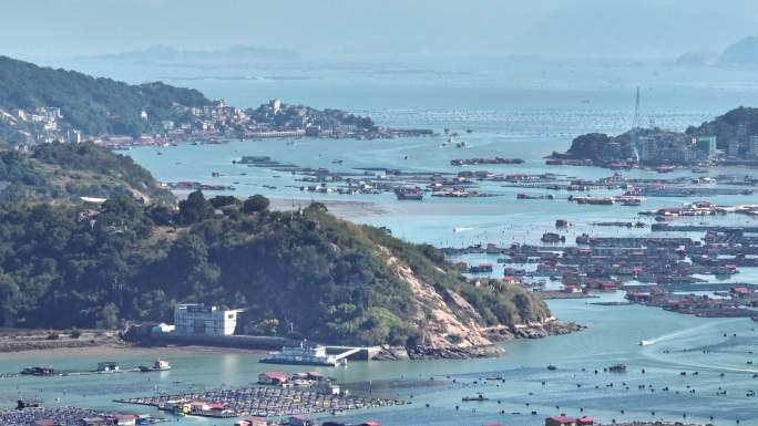 鱼排 渔船繁忙景象 渔港与海上养殖全景