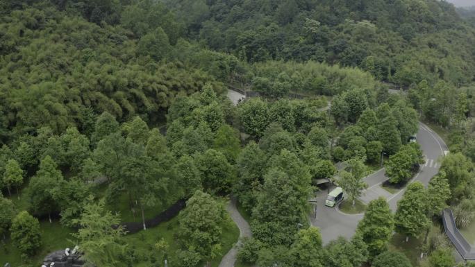 四川成都大熊猫基地4k航拍