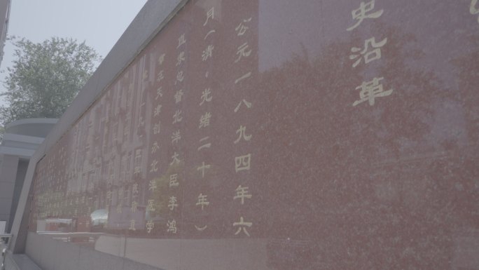 春天 绿树 花开 学校建筑