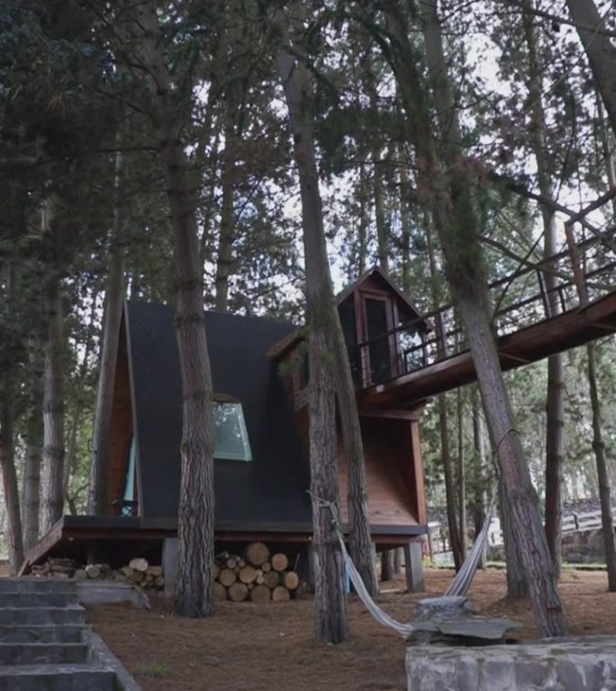 森林静修:森林中的露营屋