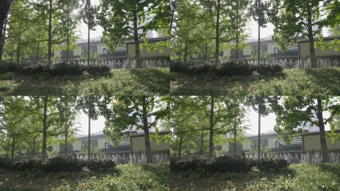 北京亮马桥人物浇水水木环保风景