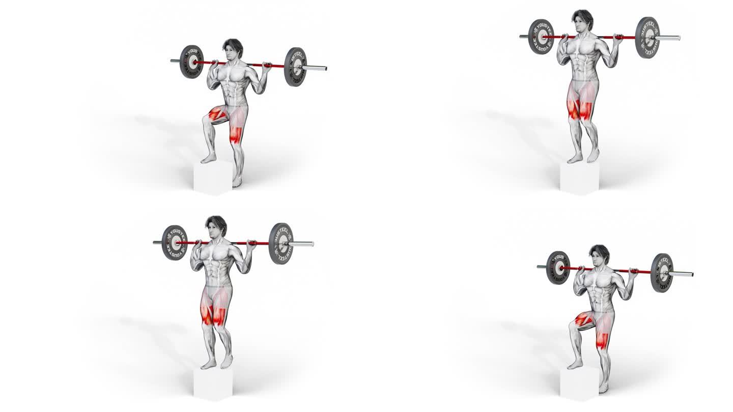 三维设计肌肉特征训练四头肌-杠铃Step Up