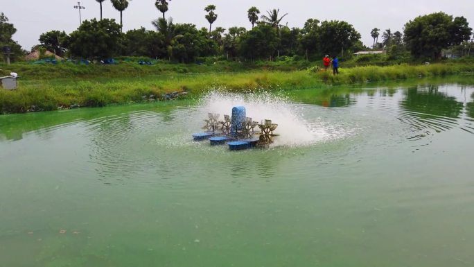 在商业鱼虾养殖池中运行的桨式曝气机