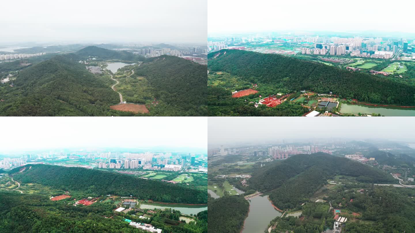 湖北武汉九峰国家森林公园