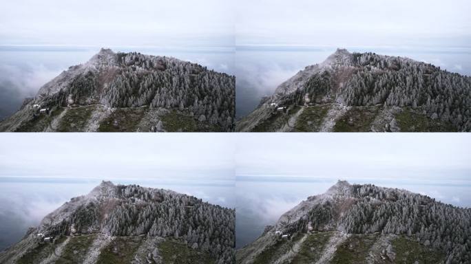 湖南南岳衡山松树凇雪景祝融峰