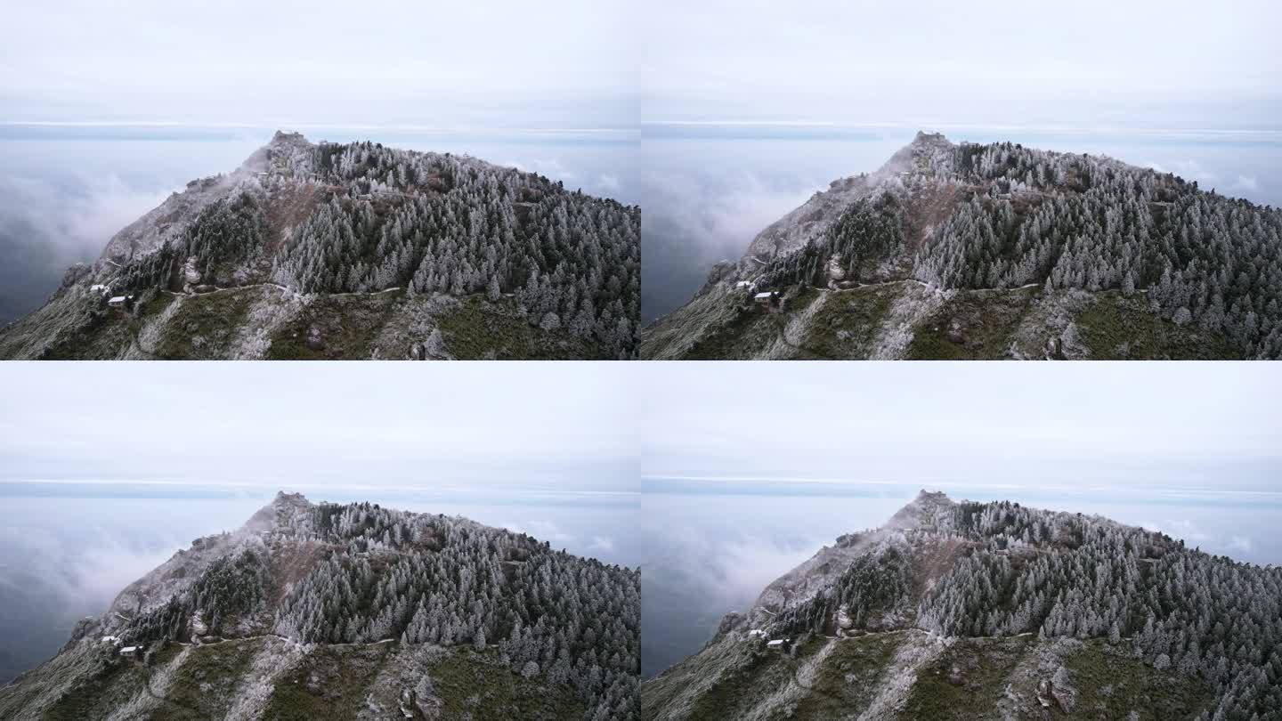 湖南南岳衡山松树凇雪景祝融峰