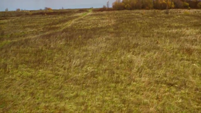 秋天枯黄的草，枯干的草。无人机航拍