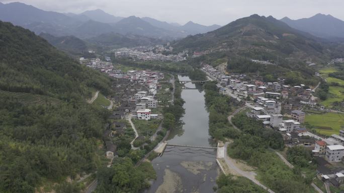 福建省龙岩市漳平水仙生态茶园航拍