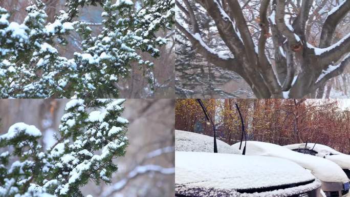 下雪 雪景 立冬 冬至冬天 视频 素材