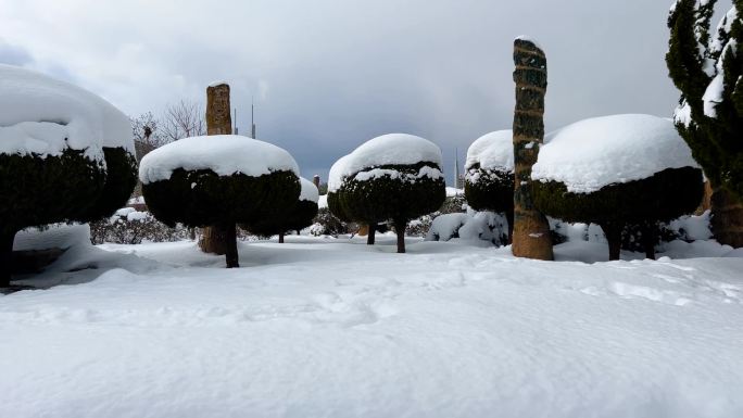 浪漫的雪景 唯美的雪花 雪花飞舞  02