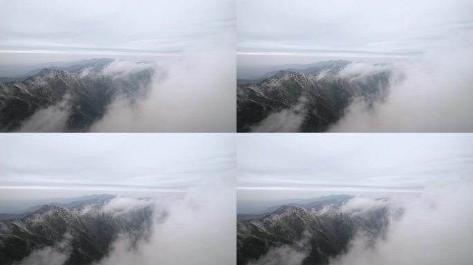 湖南南岳衡山松树凇雪景