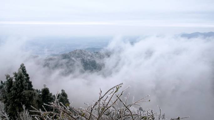 湖南南岳衡山松树凇雪景延时摄影