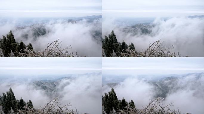 湖南南岳衡山松树凇雪景延时摄影