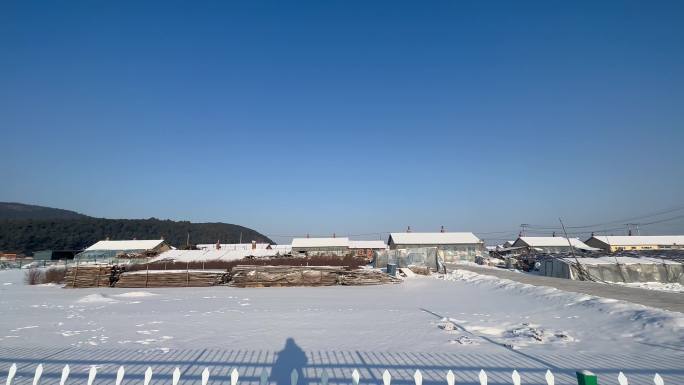 东北冬季下雪的乡村