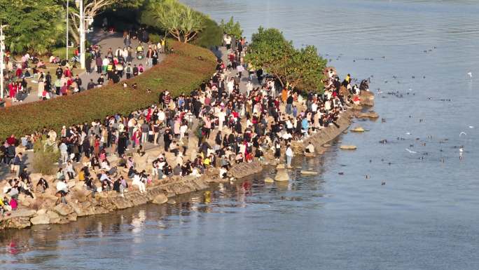 深圳湾公园观鸟人群深圳湾候鸟