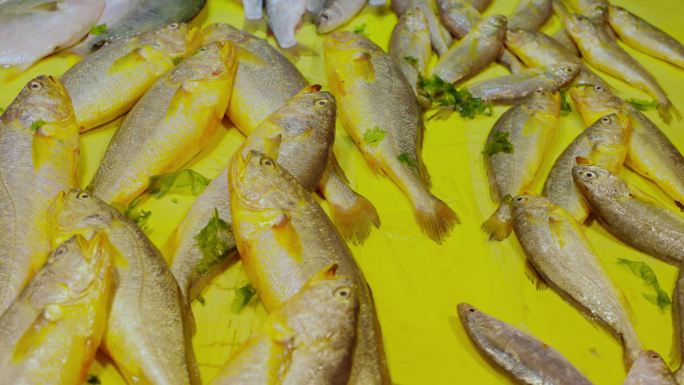 4K高清 鲜活 海鲜市场里的大黄鱼